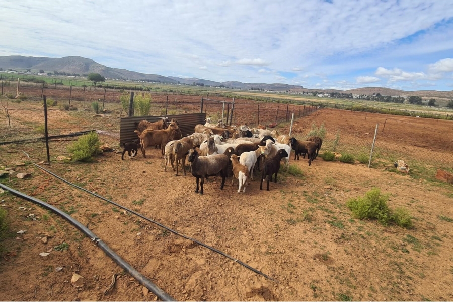 0 Bedroom Property for Sale in Touws River Rural Western Cape